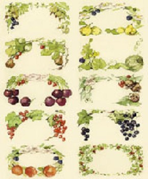 gegomde etiketten, fruit klein (332)